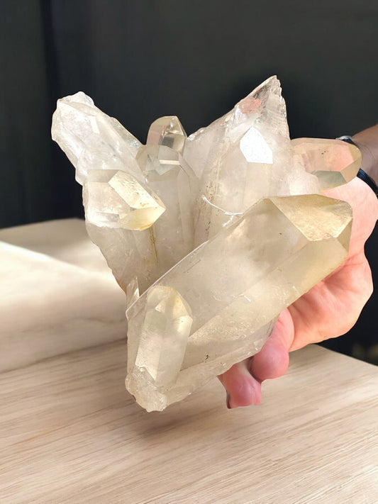 Clear Quartz Cluster - 642g grabbing hand - Reiki Lunas Shop