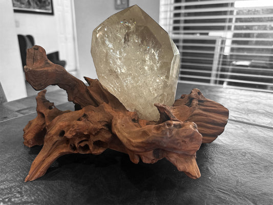 Clear Smokey Quartz with Rutile Statement Piece on a Natural Wood Branch Custom Stand - REIKI LUNAS, CRAFTS & ARTISAN