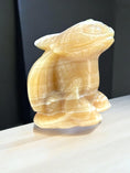 Load image into Gallery viewer, Large Orange Calcite Baby Dragon Toothless - Reiki Lunas Shop
