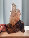 Load image into Gallery viewer, Red Clear Quartz Cluster on a hand crafted wood stand - Reiki Lunas Shop
