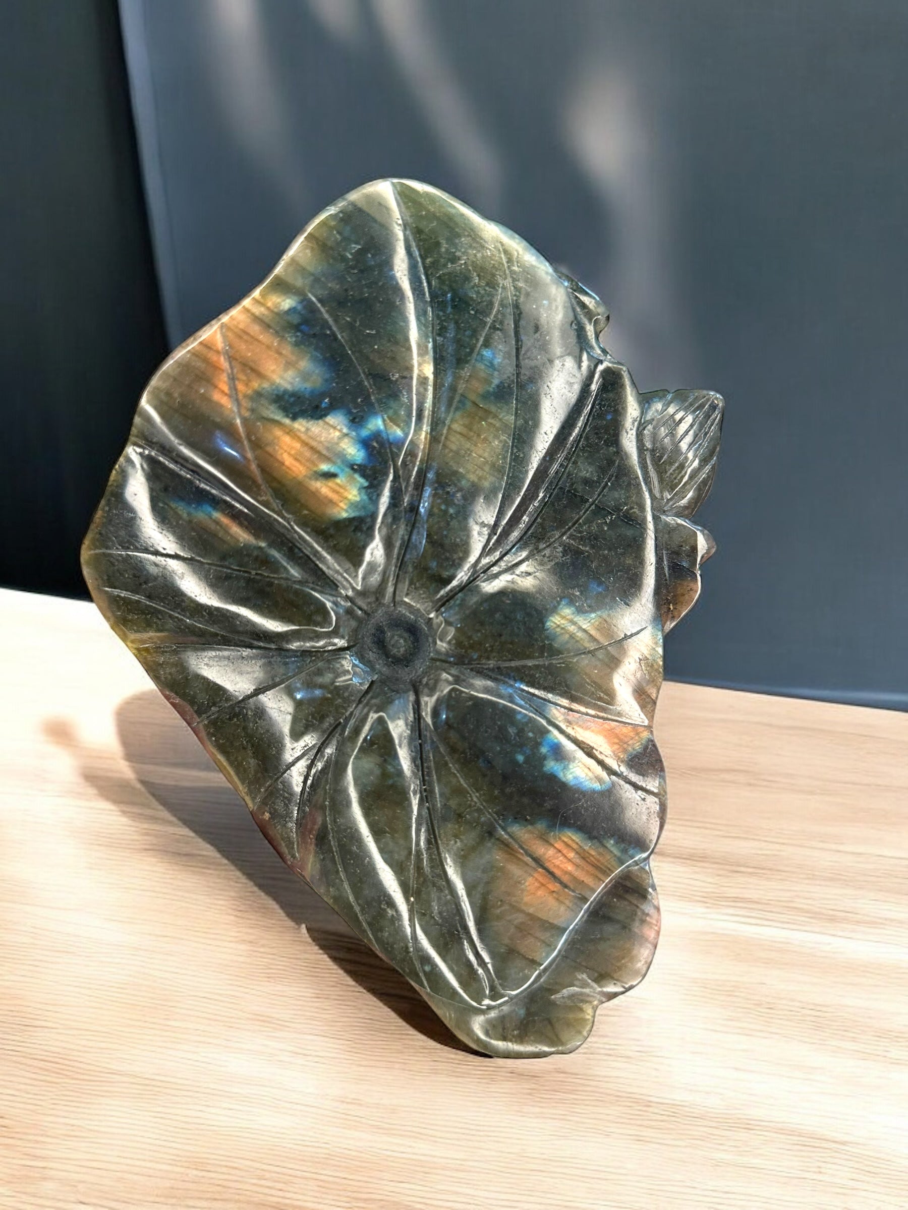 Turtle Labradorite Carving over exotic plants - Reiki Lunas Shop